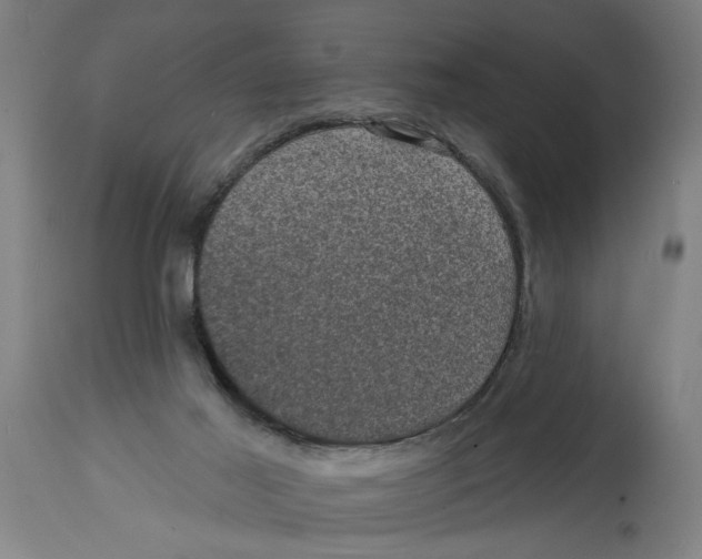 X0000114690021200911181304