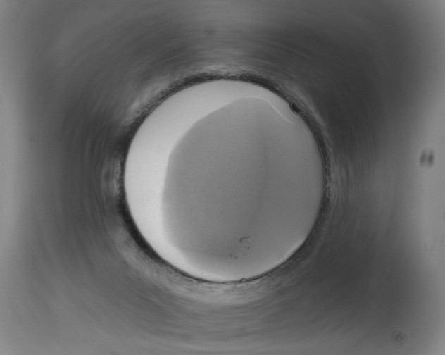 X0000114690023200911181304