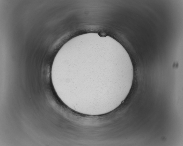 X0000114690024200911181304