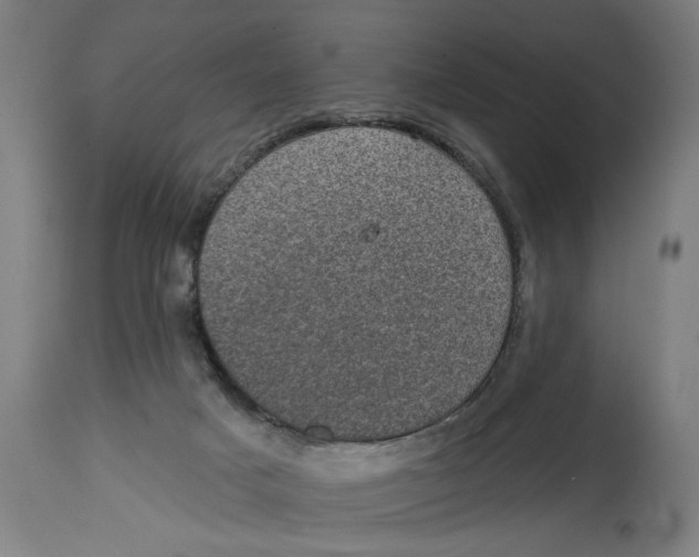 X0000114690025200911181304