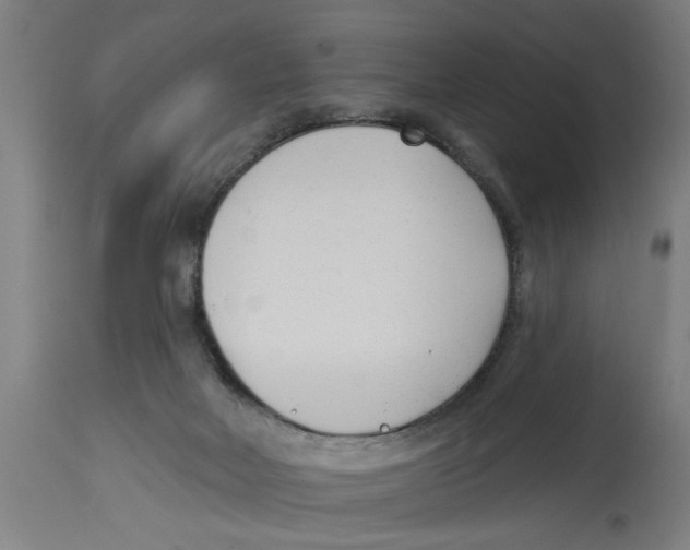 X0000114690026200911181304