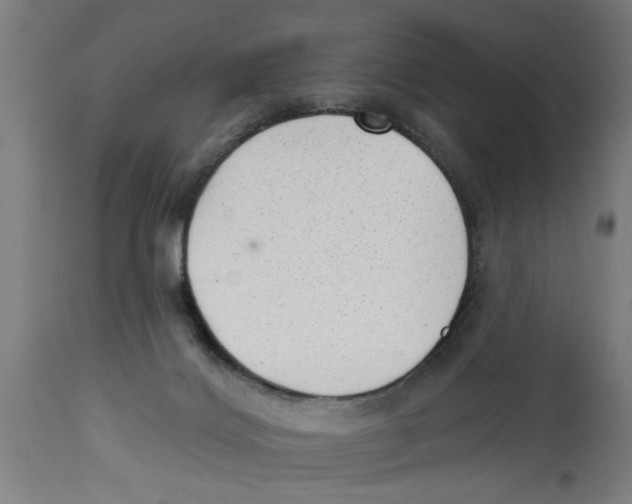 X0000114690028200911181304