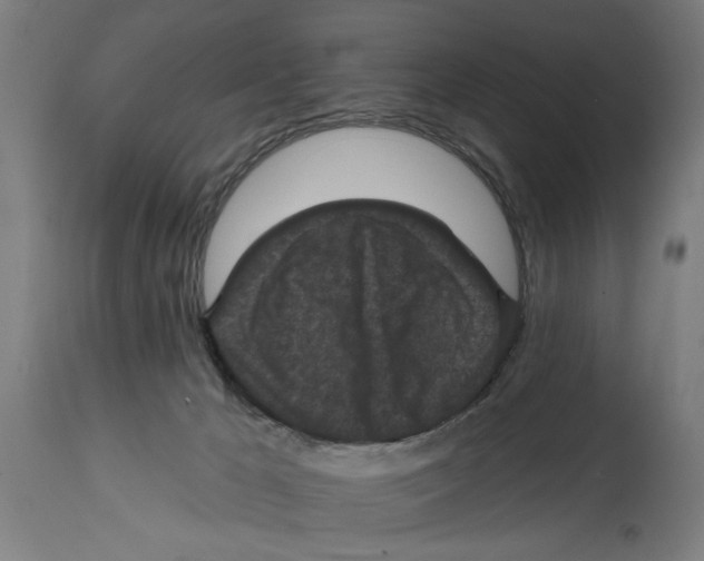 X0000114690029200911181303