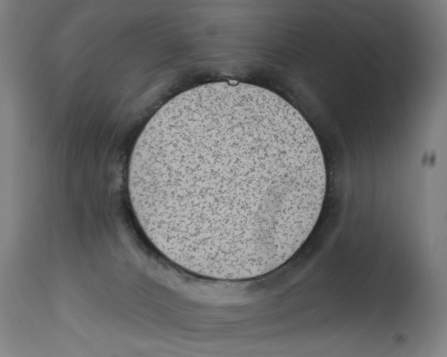 X0000114690032200911181303