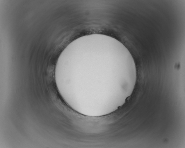 X0000114690034200911181303