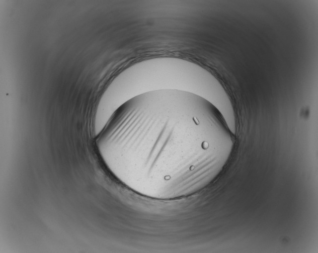X0000114690035200911181303