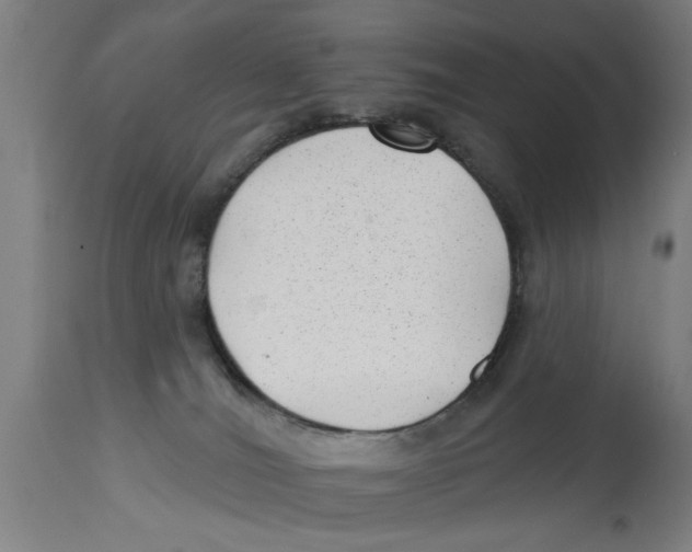 X0000114690036200911181303