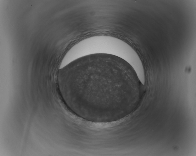 X0000114690037200911181303