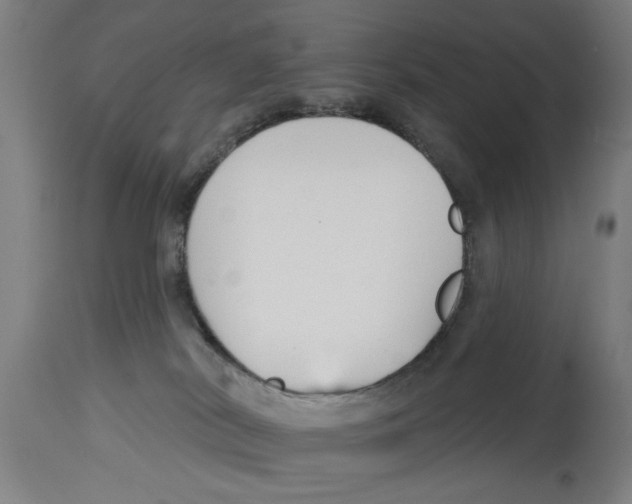 X0000114690038200911181303