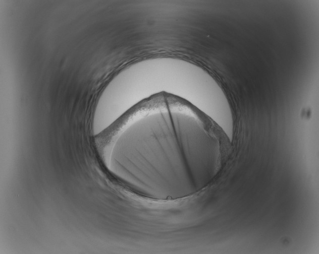 X0000114690039200911181303