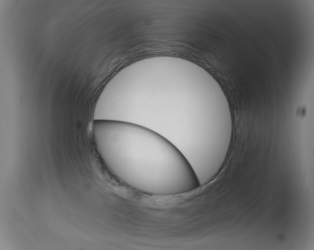 X0000114690041200911181303