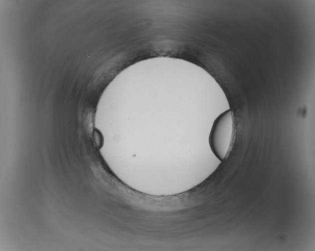 X0000114690042200911181303