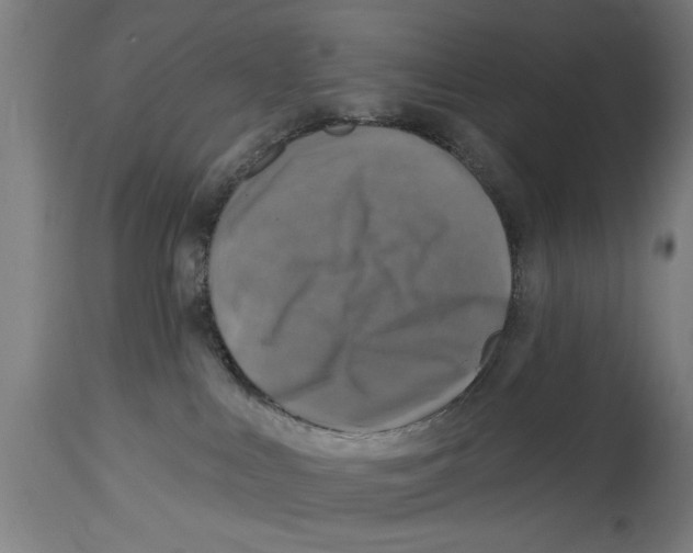 X0000114690043200911181303