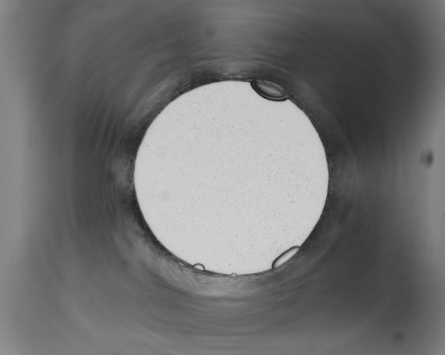 X0000114690044200911181303
