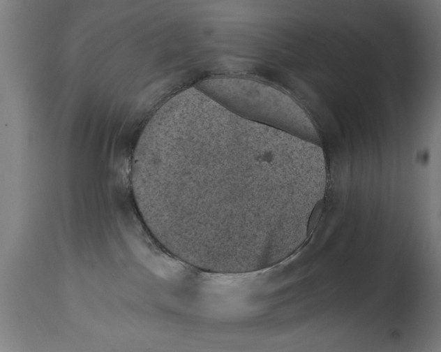 X0000114690045200911181303