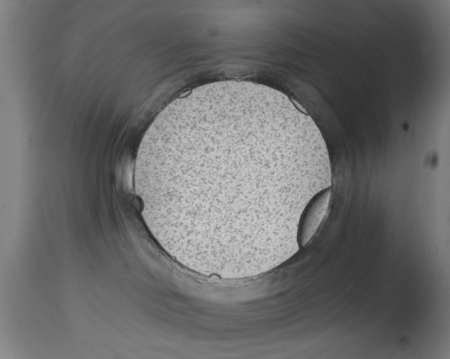 X0000114690046200911181303