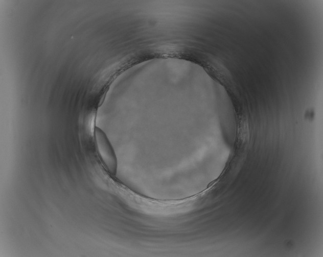 X0000114690047200911181303