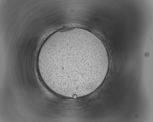 X0000114690049200911181302