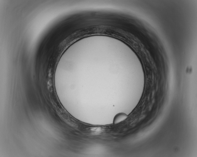 X0000114690050200911181302