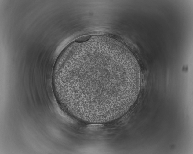 X0000114690051200911181302