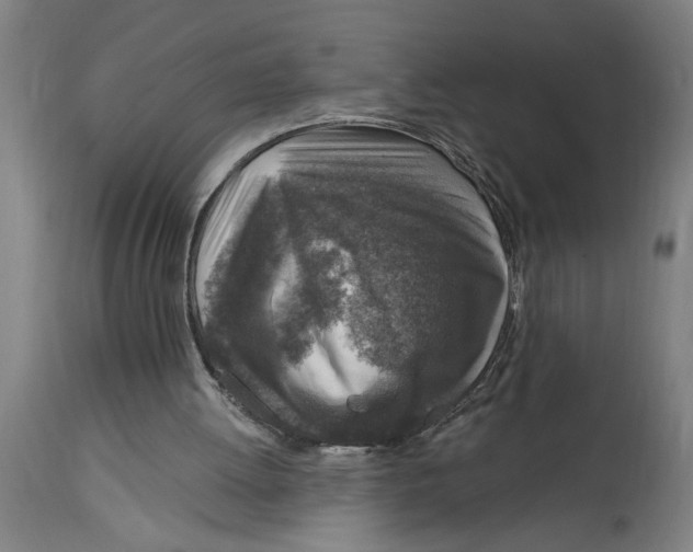 X0000114690052200911181302