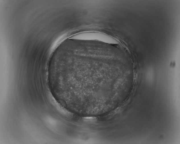 X0000114690053200911181302