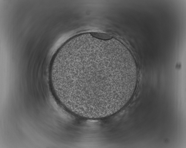 X0000114690055200911181302