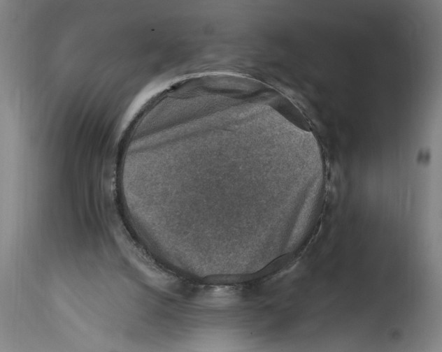 X0000114690056200911181302