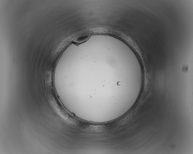 X0000114690057200911181303