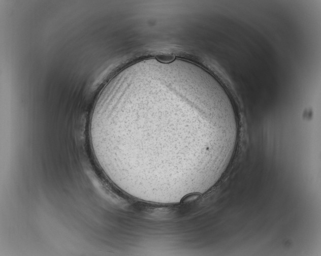 X0000114690058200911181303