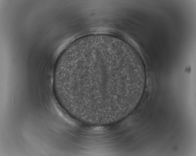 X0000114690059200911181303