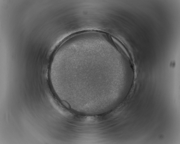 X0000114690060200911181303