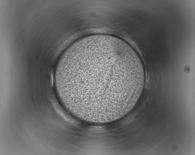 X0000114690061200911181303