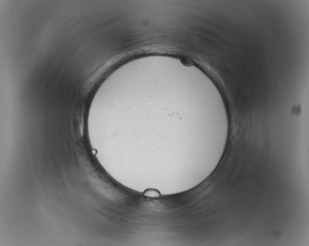 X0000114690062200911181303