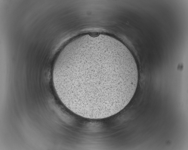 X0000114690063200911181303