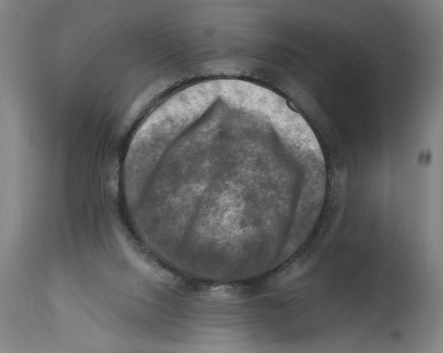 X0000114690064200911181303