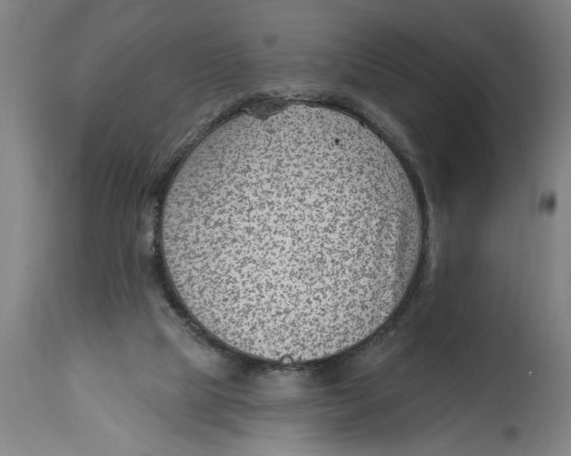 X0000114690065200911181303
