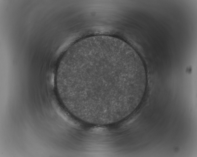 X0000114690067200911181303