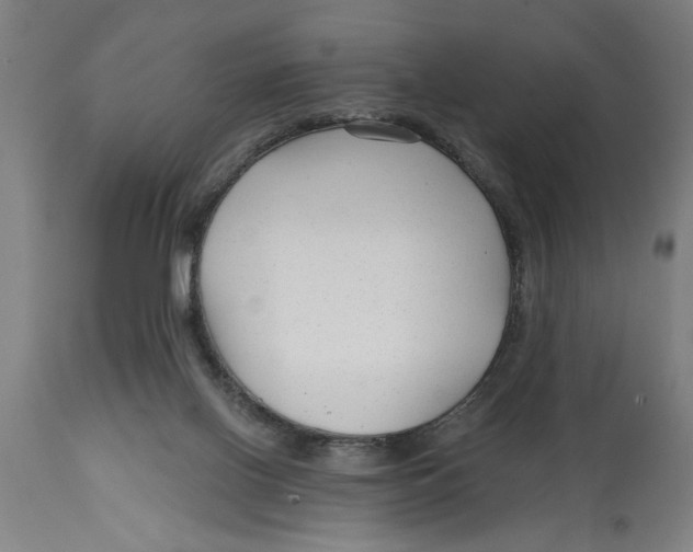 X0000114690070200911181303