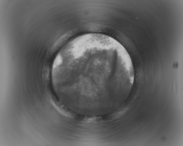 X0000114690072200911181303