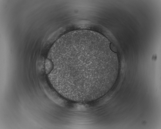 X0000114690073200911181303