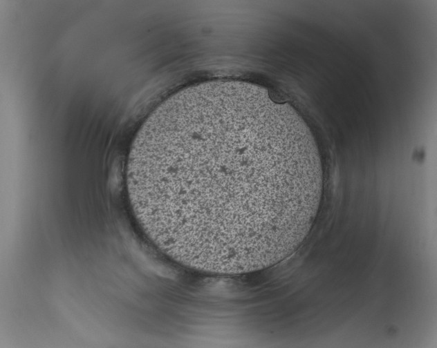 X0000114690074200911181303