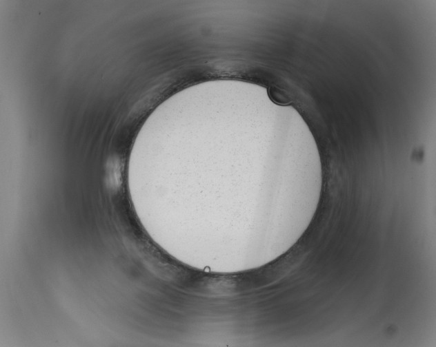 X0000114690075200911181303