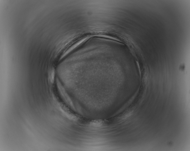 X0000114690076200911181303