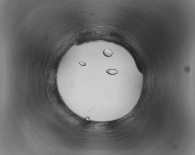 X0000114690078200911181303