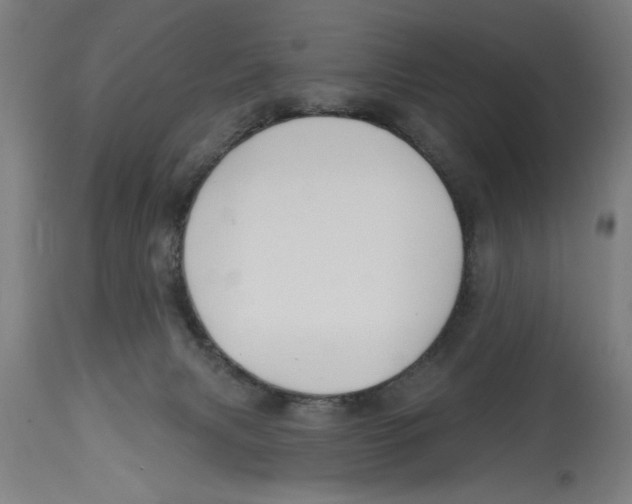 X0000114690079200911181303