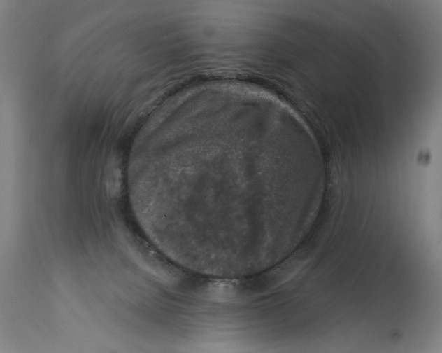 X0000114690080200911181303