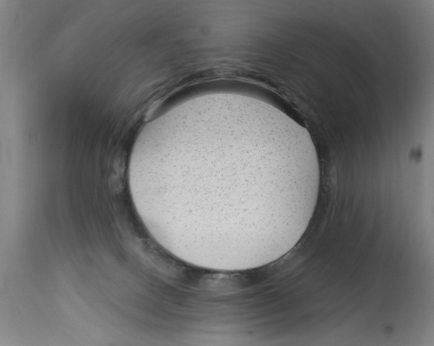 X0000114690082200911181303