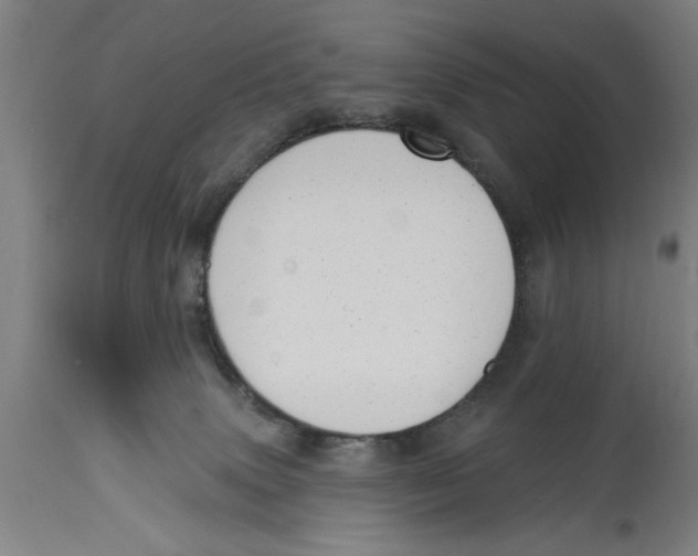 X0000114690083200911181303