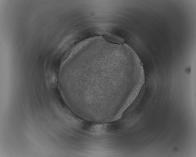 X0000114690084200911181303